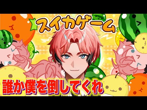 【スイカゲーム】初！オンライン対戦！夏のバトル開催！【にじさんじ / 赤城ウェン】