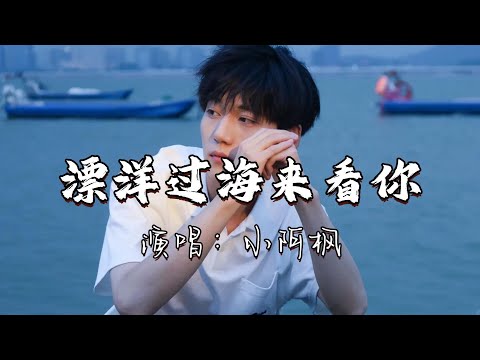 小阿枫 - 漂洋过海来看你『为你我用了半年的积蓄，漂洋过海的来看你，为了这次相聚，我连见面时的呼吸 都曾反复练习。』『动态歌词MV』