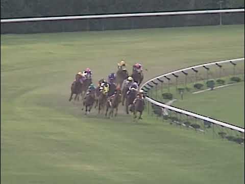 ヤマニンゼファー 1993年 第38回京王杯スプリングカップ(GII) (優勝馬：ヤマニンゼファー)