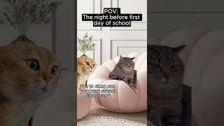 CAT MEMES 🐱The night before first day of school #catmemes #relatable #relationship