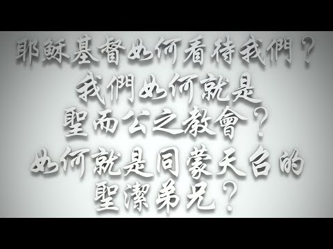 ＃耶穌基督如何看待我們❓我們如何就是聖而公之教會❓如何就是同蒙天召的聖潔弟兄❓（希伯來書要理問答 第530問）