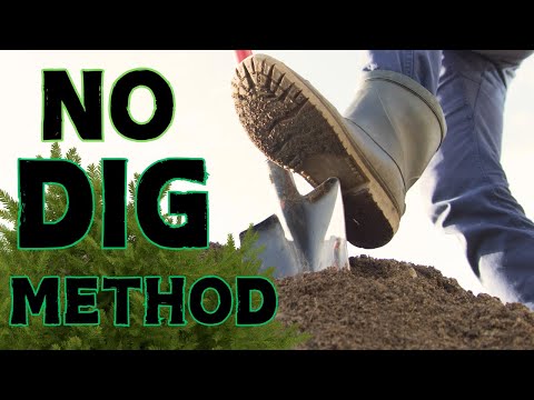 How to Remove BUSHES without DIGGING them up