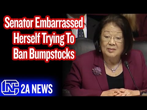 Democrat Senator Claims Supreme Court Created Ability to Own Guns in 2008