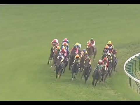 ラインクラフト 2006年 第1回ヴィクトリアマイル(GI) (優勝馬：ダンスインザムード) (実況：ラジオNIKKEI)