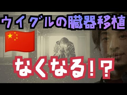 【ウイグル侵略】中国によるウイグルの臓器移植がなくなるかも！？