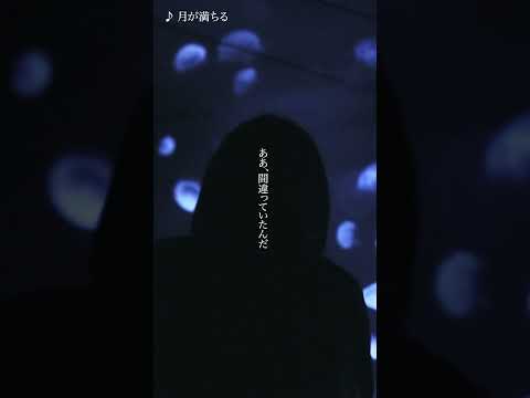 月詠み『月が満ちる（ 月詠み Acoustic Live「海と月」）』Teaser #shorts