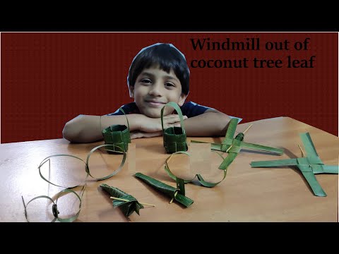 Making Windmill out of coconut tree leaf DIY craft #craft  #MomoBrothers