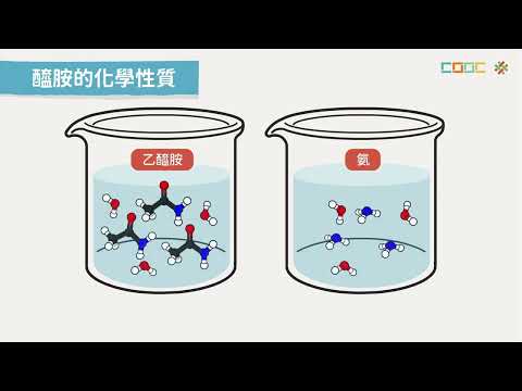 108新課綱｜高三化學｜【觀念】醯胺的製備、反應與檢驗