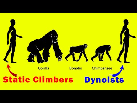 This is the Evolution of Rock Climbing - Dynology #007