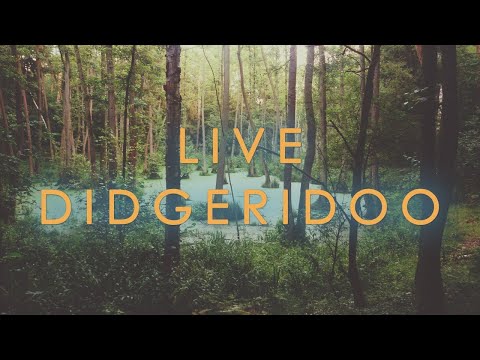 Didgeridoo LIVE Stream of Consciousness - Shaman Drum & Gong Meditation | Solar Music