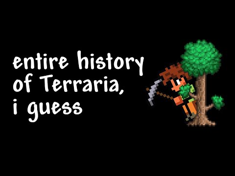 The entire history of Terraria, I guess (2011 - 2023)