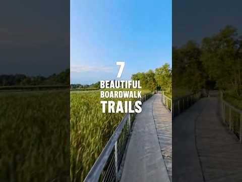 7 Beautiful Boardwalk Trails