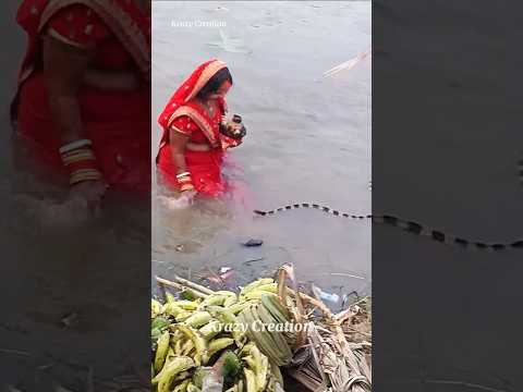 ❤️ Chhath Puja Mein Snake 🐍 #4k Chhath Puja Status 🙏✨♥️ #song #shorts #chhathpuja #Chatsworth#chhath