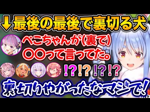 忠実な犬だったあくあが、最後の最後で裏切るシーン【ホロライブ切り抜き/兎田ぺこら/湊あくあ】