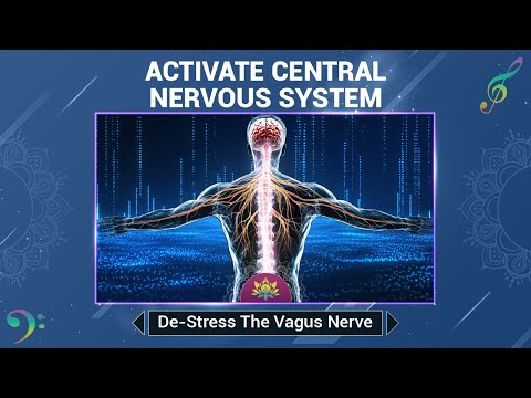 Activate Central Nervous System For Healing - De-Stress The Vagus Nerve - Relief Deep Trauma, Stress