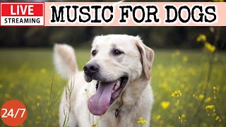 🔴[LIVE] Dog Music🎵 Dog Calming Music🐶Anti Separation Anxiety Relief Music💖Relaxing Dog Music🔴9