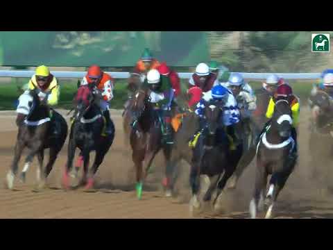 RIYADH RACING SEASON MEETING NO 54 RACE NO 2