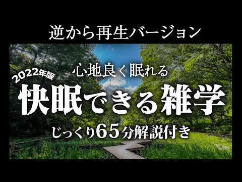 【逆から再生】快眠できる雑学【リラックス】いつもとは全然違う雑学をまとめました♪