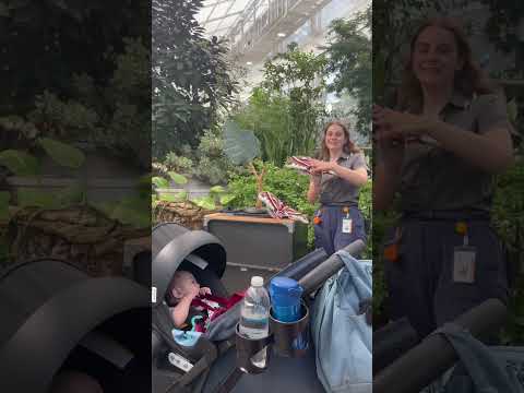 We visited the Insectarium in Montreal, Canada #babybbbb #insectarium #familyfun #montrealactivities