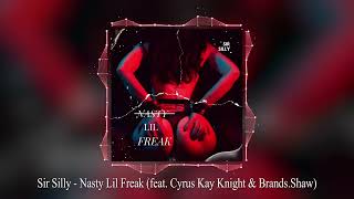 Sir Silly   Nasty Lil Freak feat  Cyrus Kay Knight & Brands Shaw