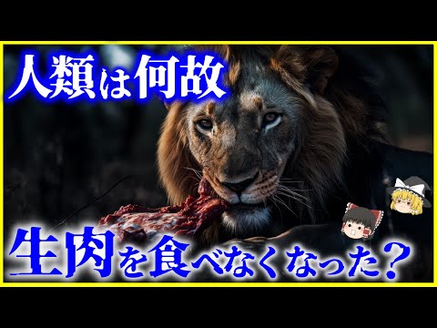 【ゆっくり解説】肉食獣はなぜ平気？人類が「生肉」を食べなくなった本当の理由を解説/生肉を食べ続けるとどうなる？人類の食の進化史