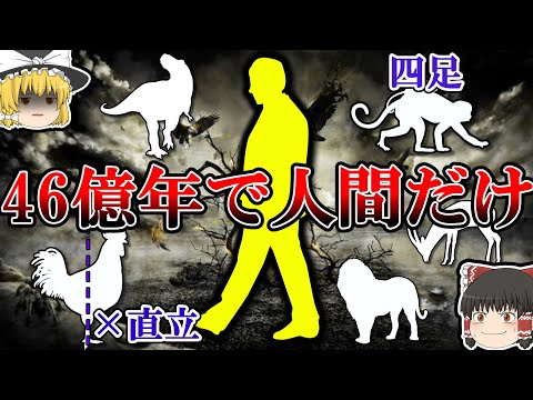 【雑学】直立二足歩行の生物が人間しかいない理由【ゆっくり解説】