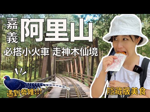 嘉義｜阿里山 EP2 園區必去 巨木群步道 & 山林小火車～ 日出後的大自然早餐~ 受鎮宮 超好吃滷味和限定咖啡！