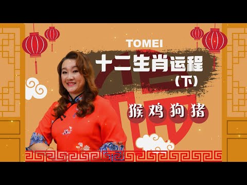 TOMEI 【12生肖运程来喽！（下）】