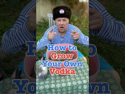 How To Grow Your Own Vodka #crazyrussiandad #vodka @SmirnoffUS #smirnoff #howto #lifehacks #garden