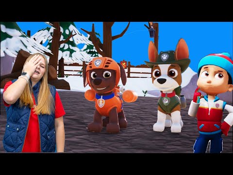 Assistant Visits Jakes Mountain and Barkingsburg on Paw Patrol World