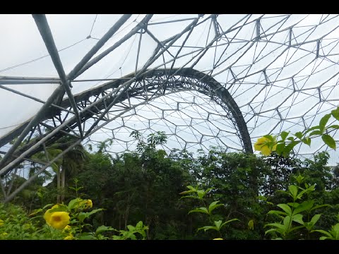 The Eden Project