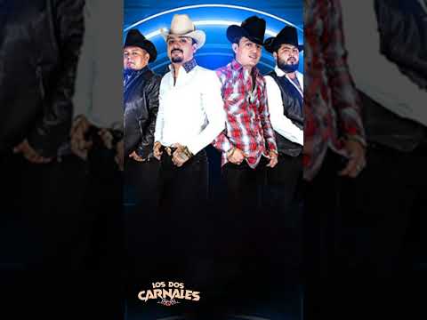 Los Dos Carnales #viralvideo #viralshort #Los #Dos #Carnales #LosDosCarnales