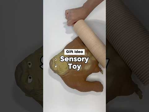 Sensory Toy Christmas Gift For Kids 🎄VIRAL Christmas Gift Idea #giftideas #holidaygiftideas #fidget