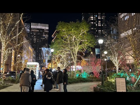 New York City live Christmas Walking from Hudson Yard to 6 Ave 11/27/2023 7:00pm