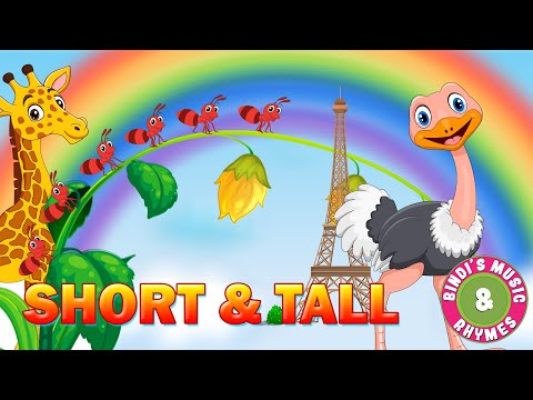 Short & Tall | Preschool Concepts | Educational Rhymes for kids | Bindi's Music & Rhymes