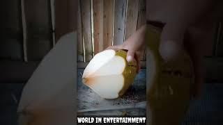 American Street Food - young coconut cutting skills 37 #streetfood #coconut #cuttingskills