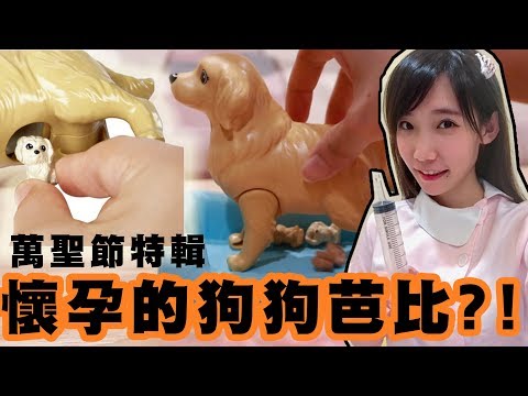 【萬聖節特輯】有點詭異？芭比懷孕狗狗系列！| 安啾 (ゝ∀･) ♡