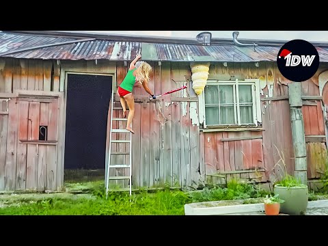 TOTAL IDIOTS AT WORK #306 | Funny Fails of Week | Instant regret compilation 2024.