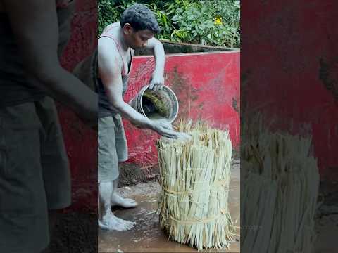 Palm Leaf Bomb/Ola Vedi Making #fireworks #crackersvideos #experiment #fireworksfestival #diwali