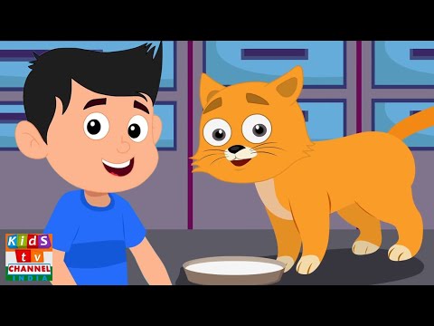 Ek Billi Hamari, एक बिल्ली हमारी, Rhymes in Hindi and Kids Cartoon