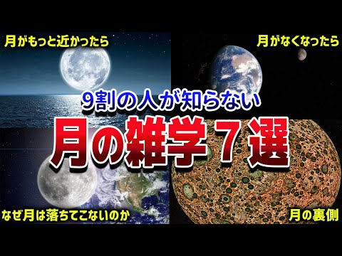 【総集編】意外と知られていない月の雑学7選【ゆっくり解説】