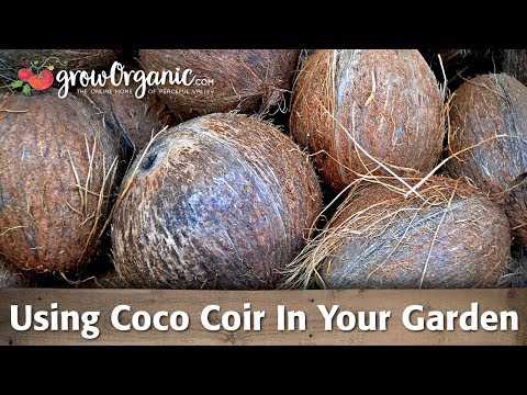 Using Coco Coir As A Soil Amendment In Your Organic Garden