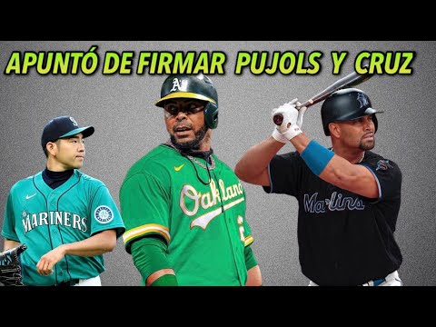 NELSON CRUZ Y PUJOLS PRONTO CONTRATADOS, YUSEI KIKUCHI A BLUE JAYS, NOTICIAS DE MLB BÉISBOL MAYOR