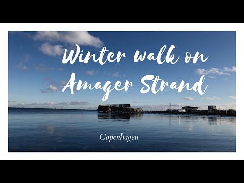 Lockdown in Copenhagen: Winter walk on Amager Strand