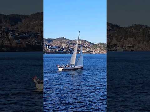 Sailing away ⛵️ Bergen, Norway 🇳🇴  #sailing #sailboat #sea #bergen #norway #norwegian #view #🇳🇴 #⛵️