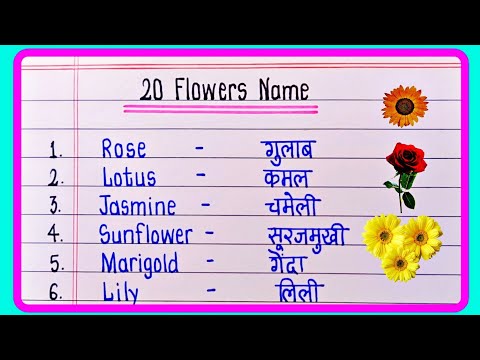 20 Flowers Name Hindi And English/फूलों के नाम हिंदी और इंग्लिश में/Flowers Name in English