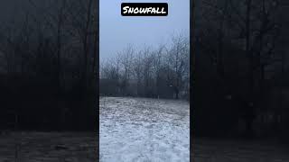 Snowfall today #youtubeshorts#aarhus#denmarkvlog#denmark#motivation#indianindenmark#shorts#nature