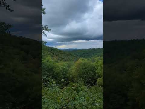 Crooked Run Vista, Elk State Forest