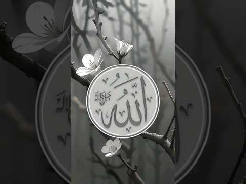 muhammad allah name islami short video viral dp plezz subscribe me