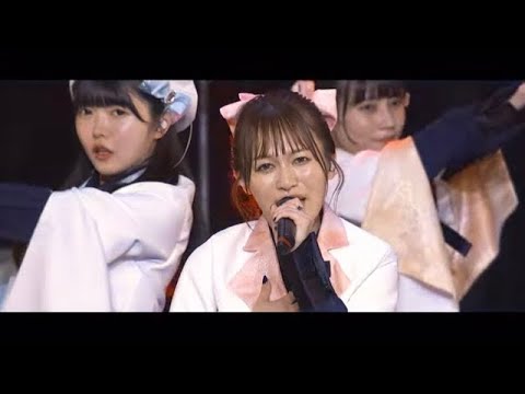 【中日雙語字幕】真っ白なキャンバス「Heroism（英雄主義）」【LIVE映像】【4K】